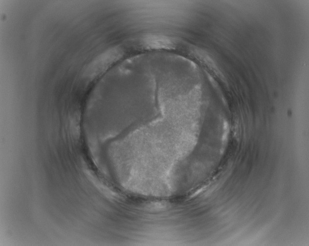 X0000067400402200604281913