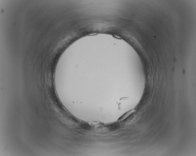 X0000067400403200604281913