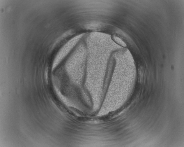 X0000067400404200604281913