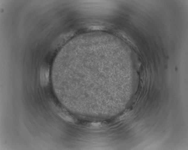 X0000067400406200604281913