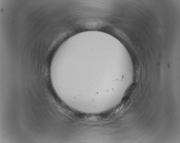 X0000067400407200604281913