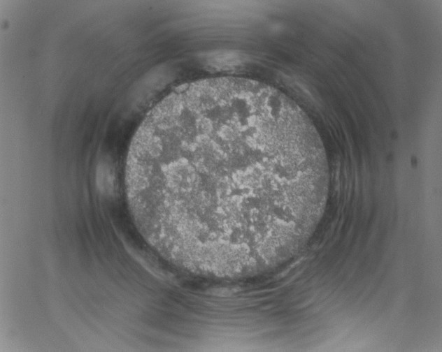 X0000067400408200604281913