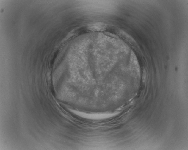 X0000067400409200604281913