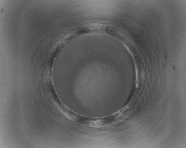 X0000067400411200604281913