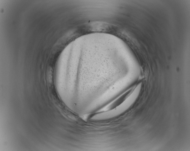 X0000067400413200604281913