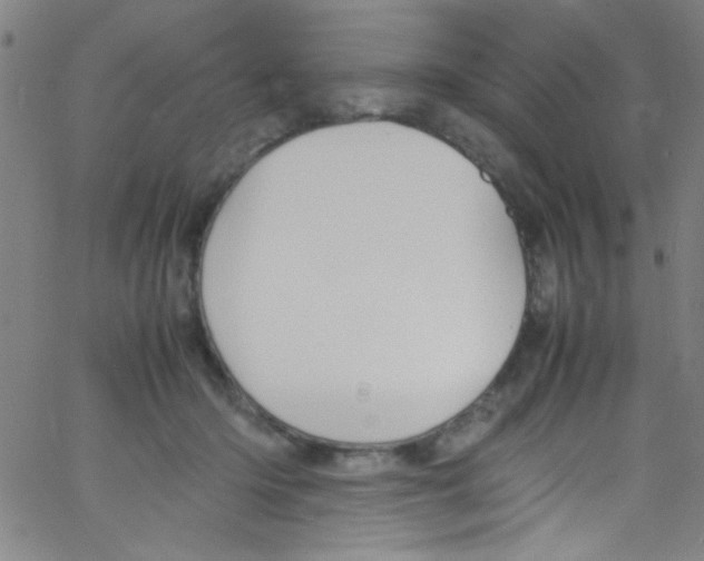 X0000067400414200604281913