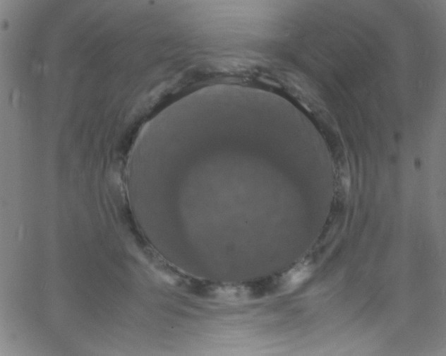 X0000067400415200604281913