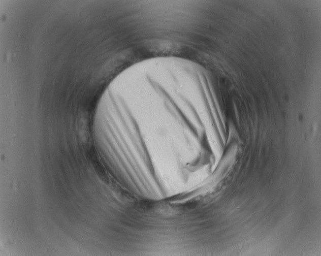 X0000067400416200604281912