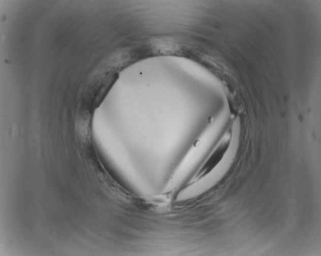 X0000067400417200604281912