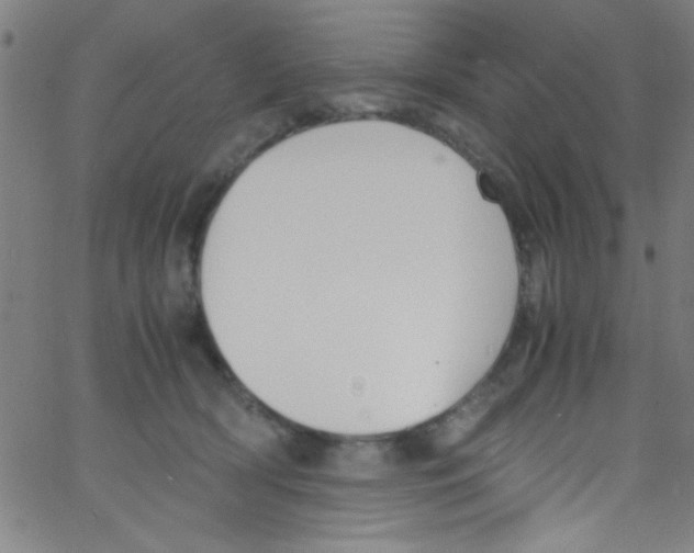 X0000067400418200604281912