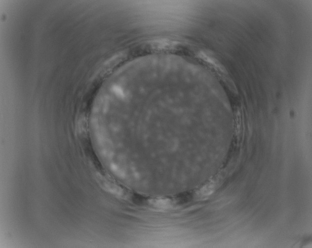 X0000067400419200604281912