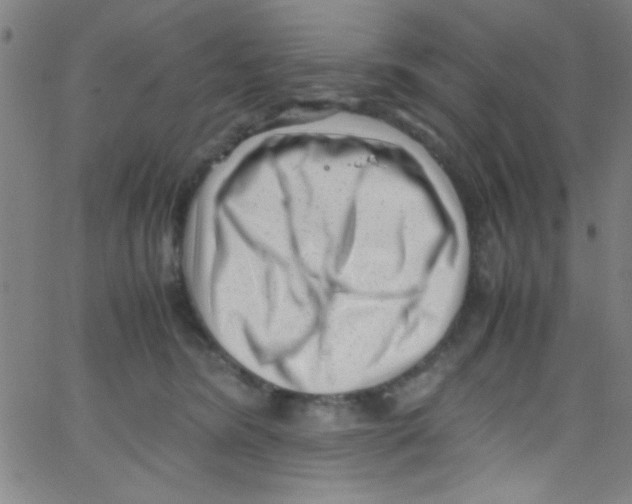 X0000067400420200604281912