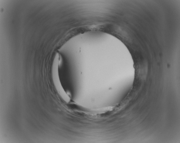 X0000067400421200604281912