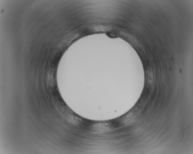 X0000067400422200604281912