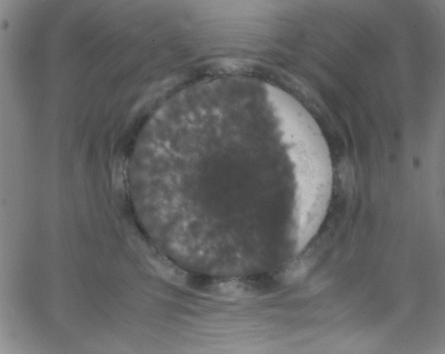 X0000067400423200604281912