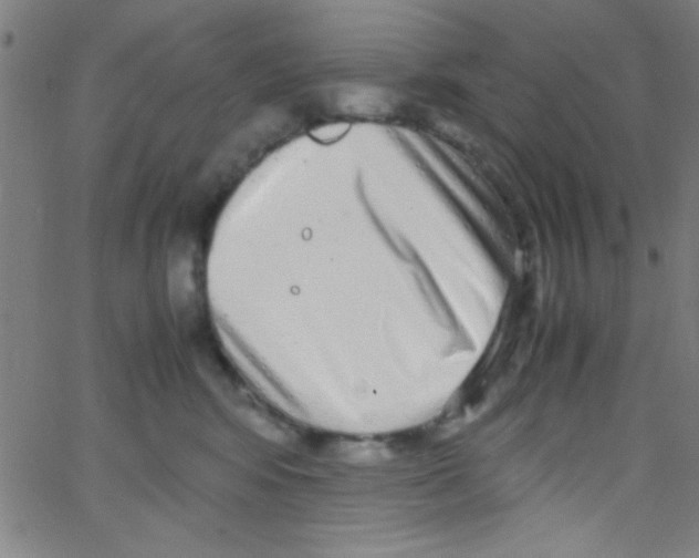 X0000067400424200604281912