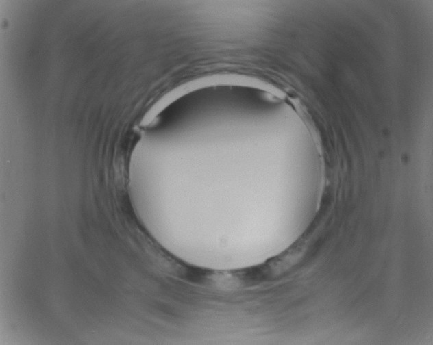 X0000067400425200604281912