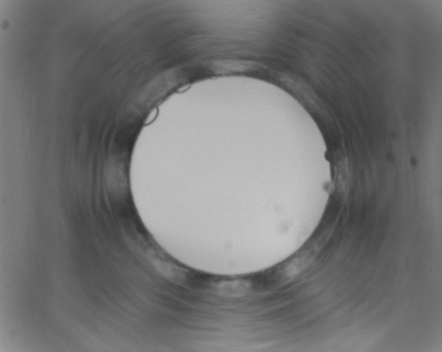 X0000067400426200604281912