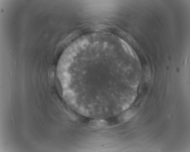 X0000067400427200604281912