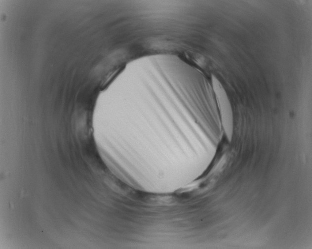 X0000067400428200604281912