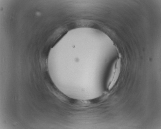 X0000067400429200604281912