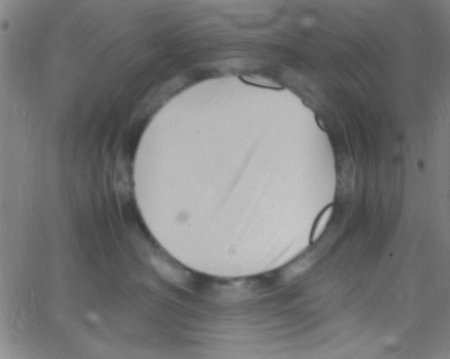 X0000067400430200604281912