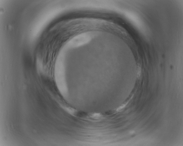 X0000067400431200604281912