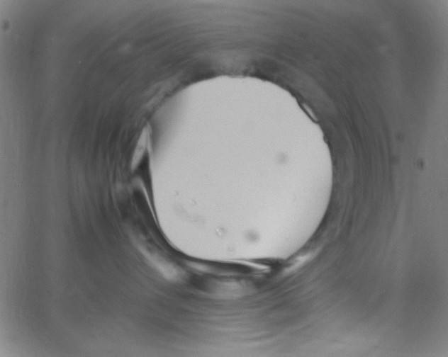 X0000067400432200604281912