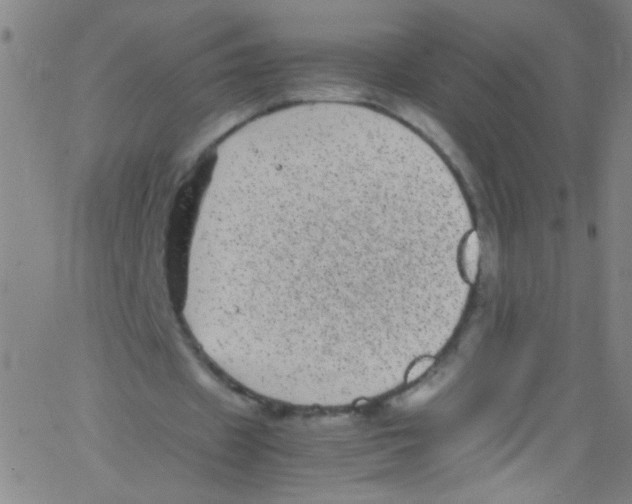 X0000067400433200604281911