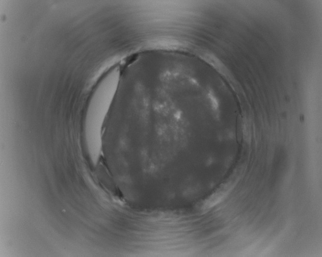 X0000067400434200604281911