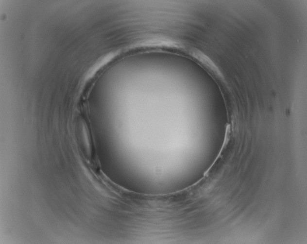 X0000067400436200604281911