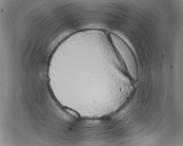 X0000067400437200604281912