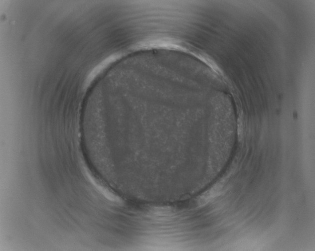 X0000067400438200604281912