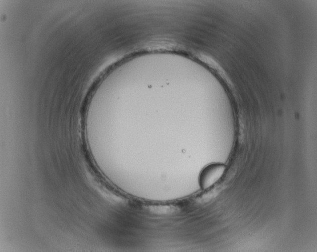 X0000067400439200604281912