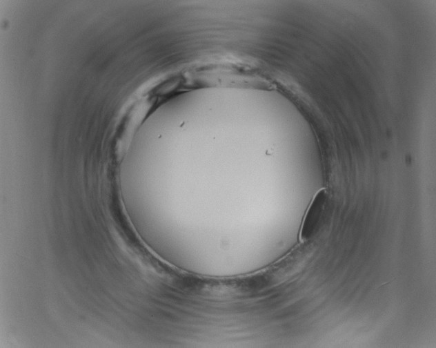 X0000067400440200604281912