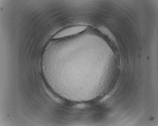 X0000067400441200604281912