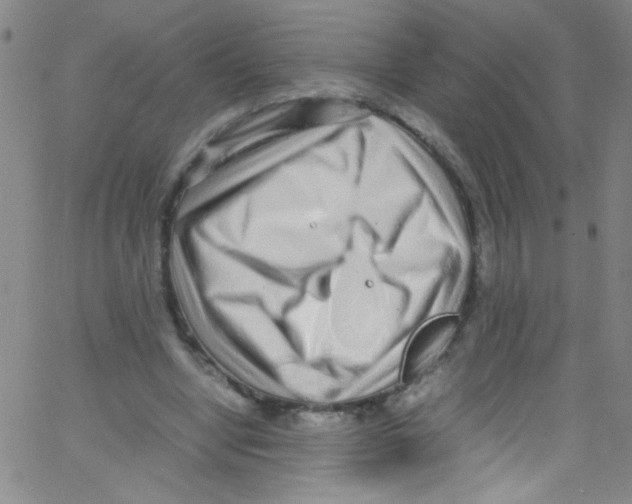 X0000067400442200604281912