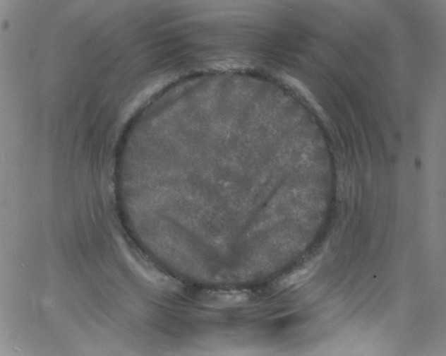 X0000067400443200604281912