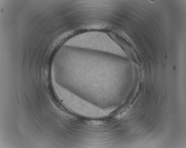 X0000067400444200604281912