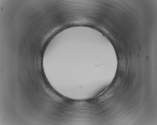 X0000067400446200604281912