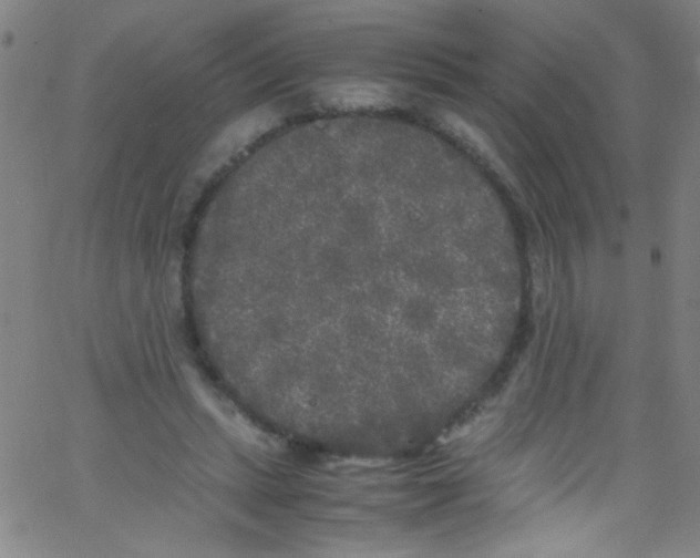 X0000067400447200604281912