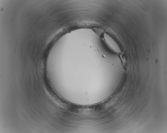 X0000067400448200604281912