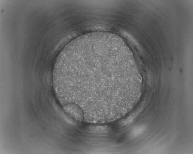 X0000067400449200604281912