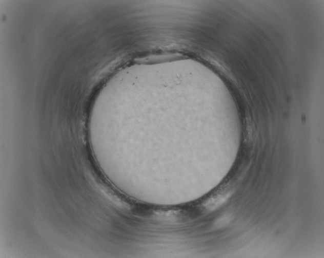 X0000067400450200604281912