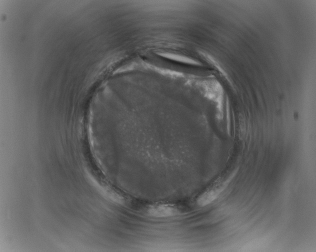 X0000067400451200604281912