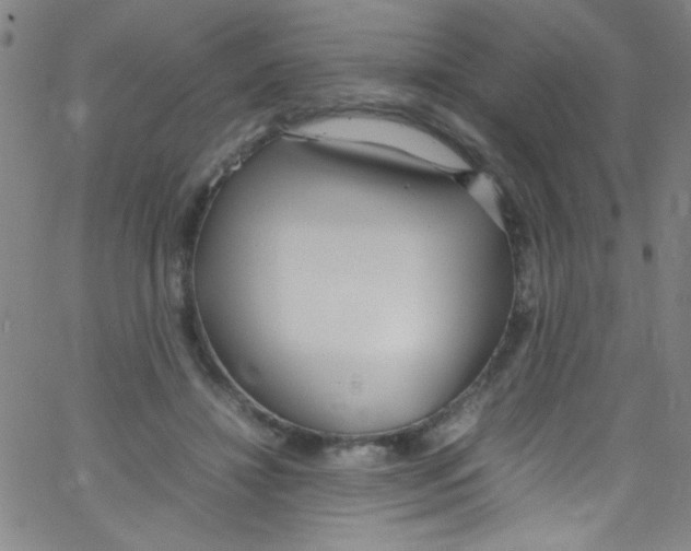 X0000067400452200604281912