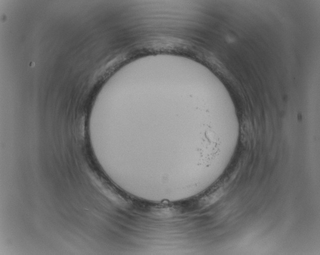 X0000067400454200604281912