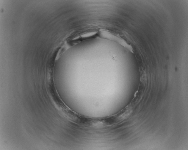 X0000067400456200604281912