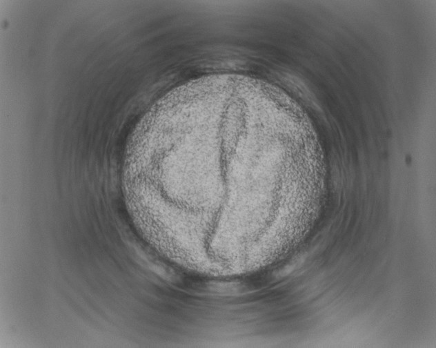 X0000067400457200604281912