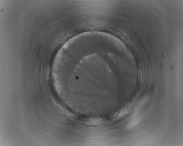 X0000067400458200604281912